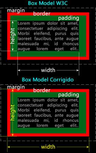 box model