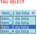 A tag select estilizada